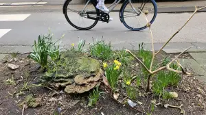 Leentje 03 Stadstuintje